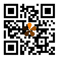 QR CODE website www.dtstore.vn